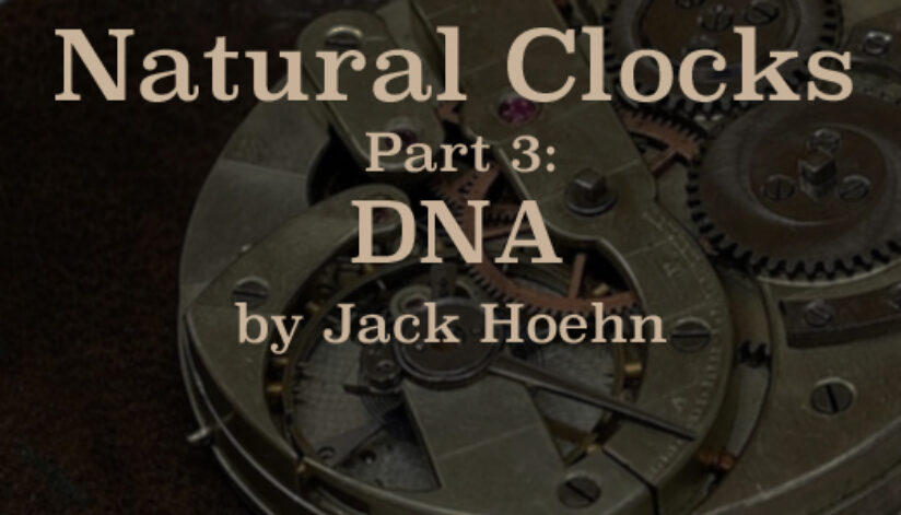 clocks3