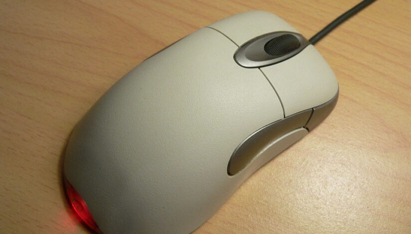 computer mouse
