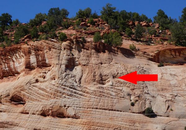 Figure 12. Weathered Navajo Sandstone showing the remains of a fluidization event (arrow) (near Kanab, UT).