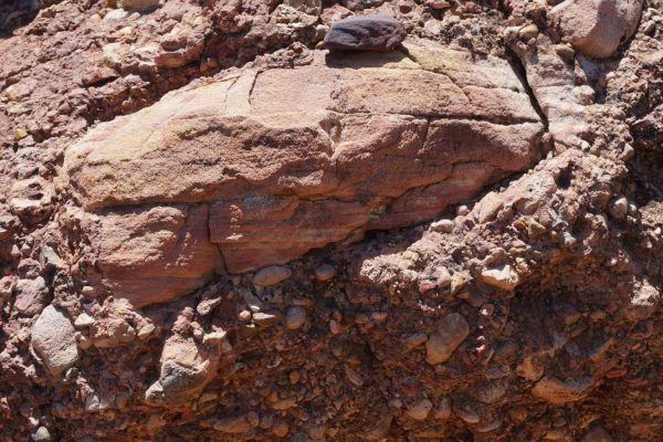 Figure 5. Navajo Sandstone rock embedded in Willow Tank Formation conglomerate formed by local flooding (Valley of Fire State Park, NV).