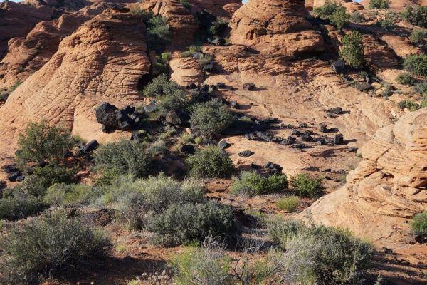 Figure 6. Lava rocks tumbled onto eroded Navajo Sandstone (Snow Canyon State Park, St. George, UT).