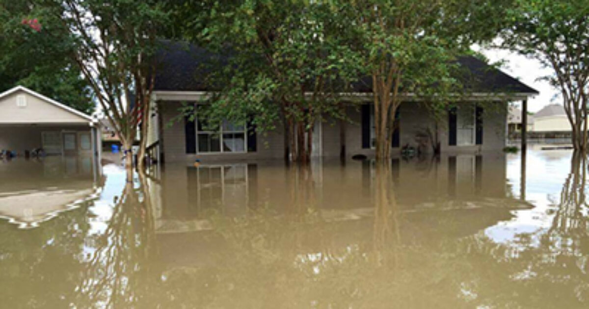 ACS_louisiana_flooding_aug_17_2016_400w_IMG_0031_1_