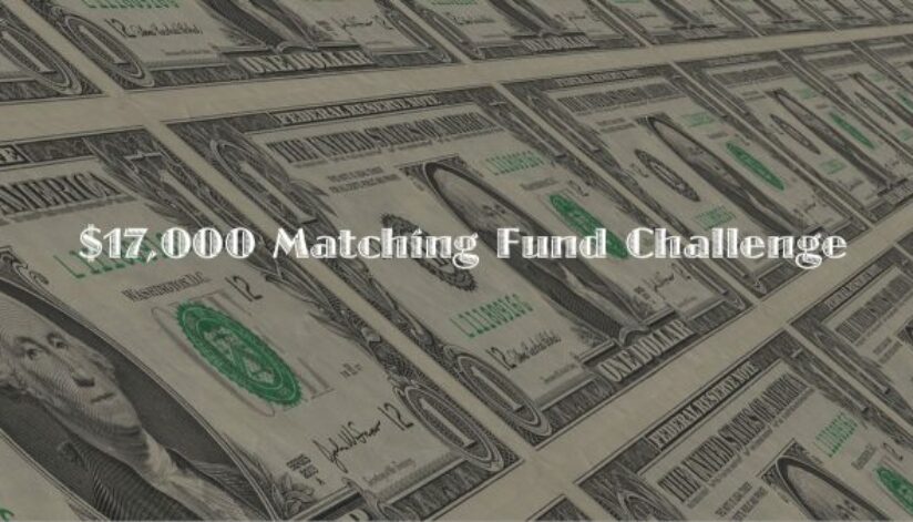 matching-fund