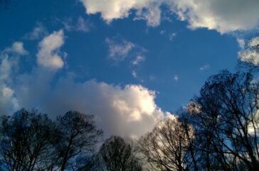 WP_20170125_17_14_09_Pro