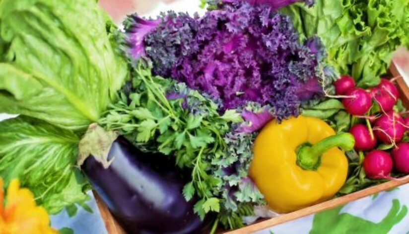 vegetables-feature cut