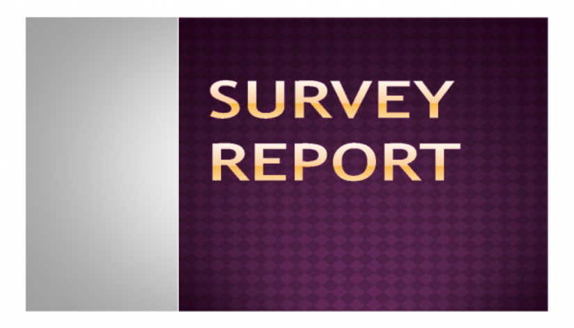 Survey Report graphic