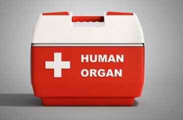 76630796 - closed human organ refrigerator box red 3d render on grey background
