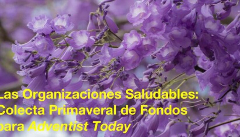 saludables