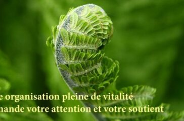 spring-membership-french