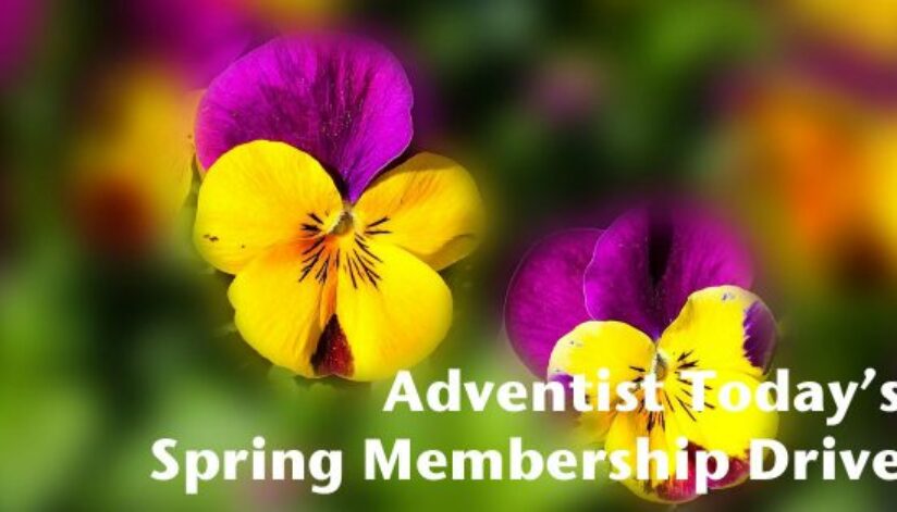 spring-membership12