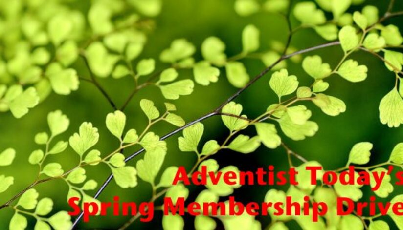 spring-membership13