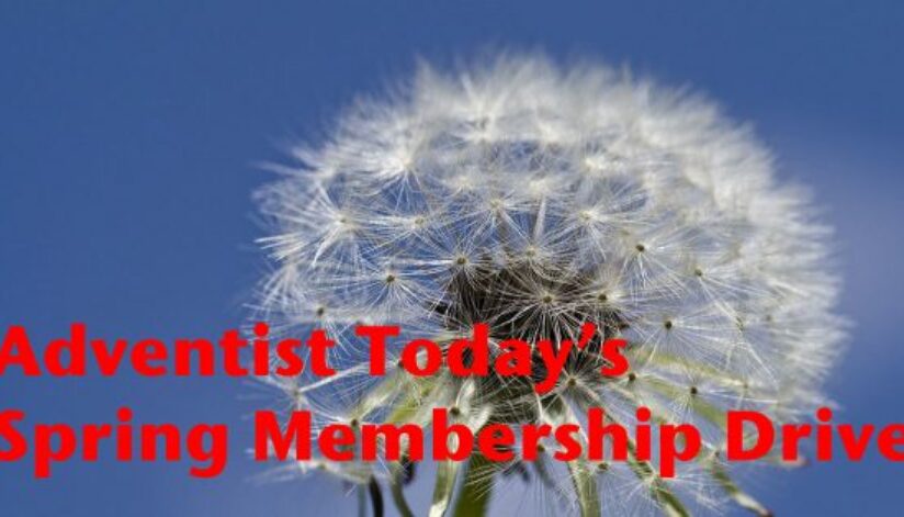 spring-membership14