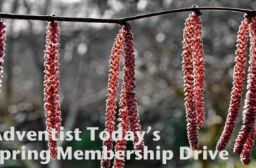spring-membership3