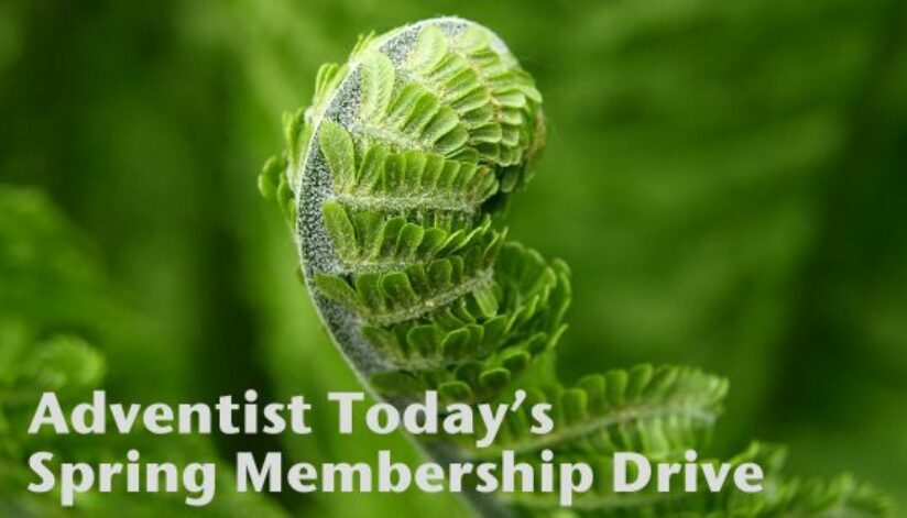 spring-membership7