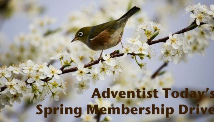 spring-membership9
