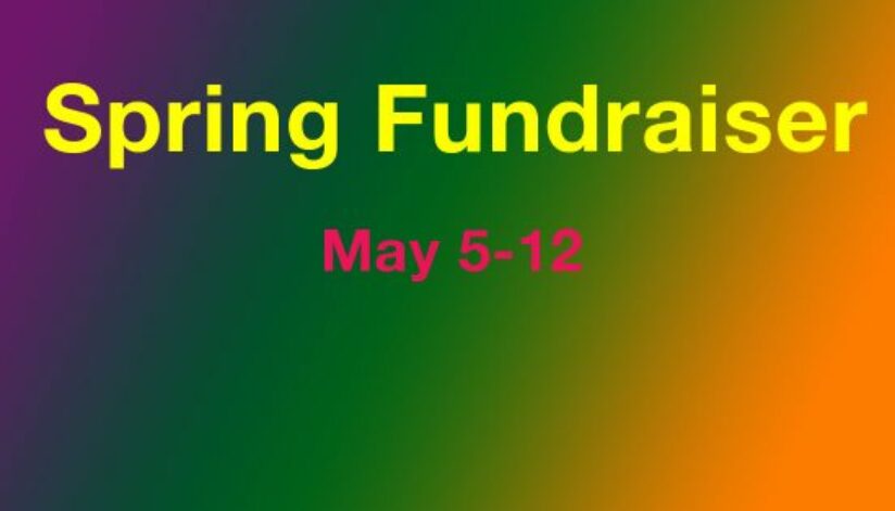 springfundraiser3