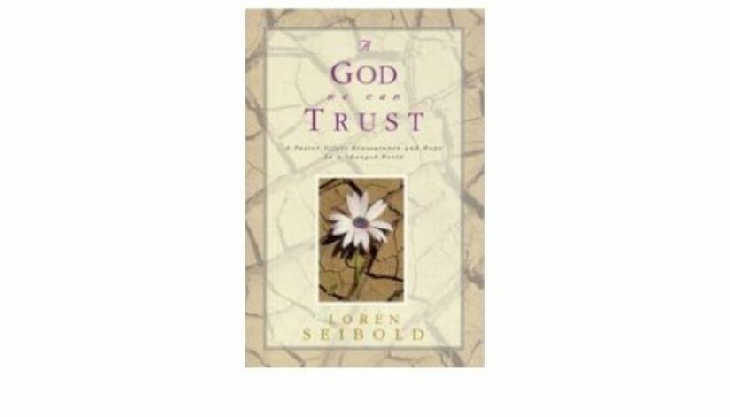 Seibold book