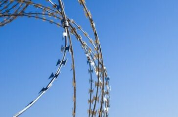IMG_3641