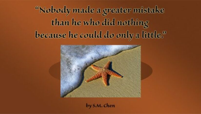 starfish