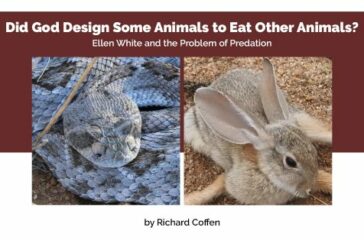 predation