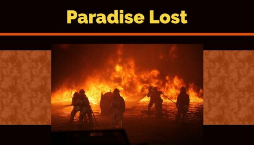 paradise