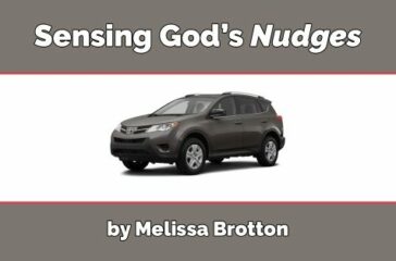 nudges