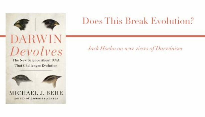 darwindevolves