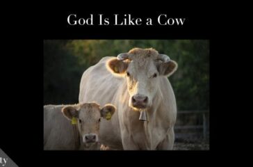 god-is-like-a-cow