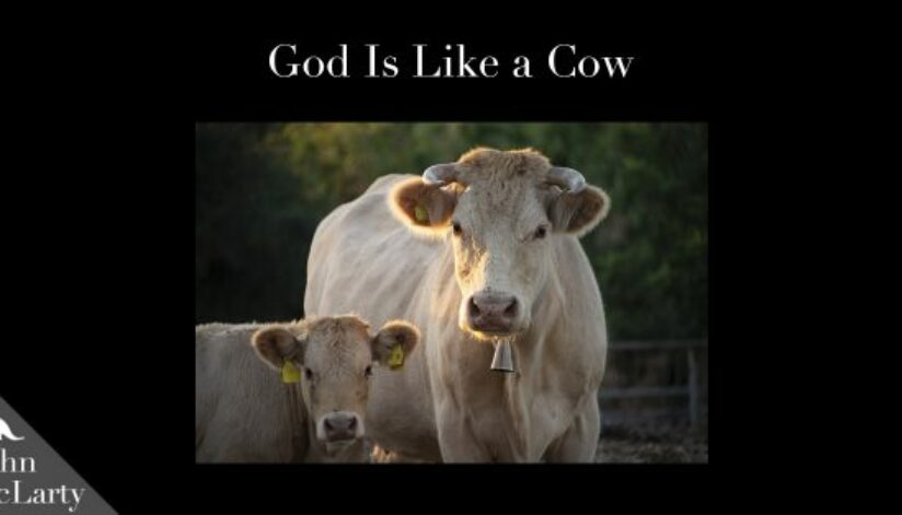 god-is-like-a-cow