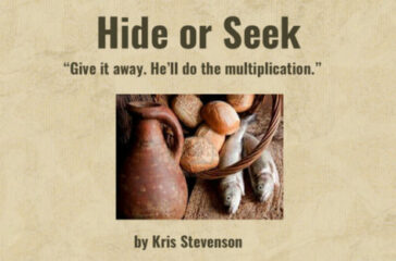 hide-or-seek