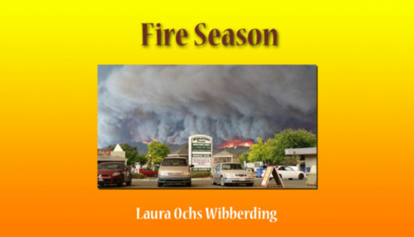 fire season
