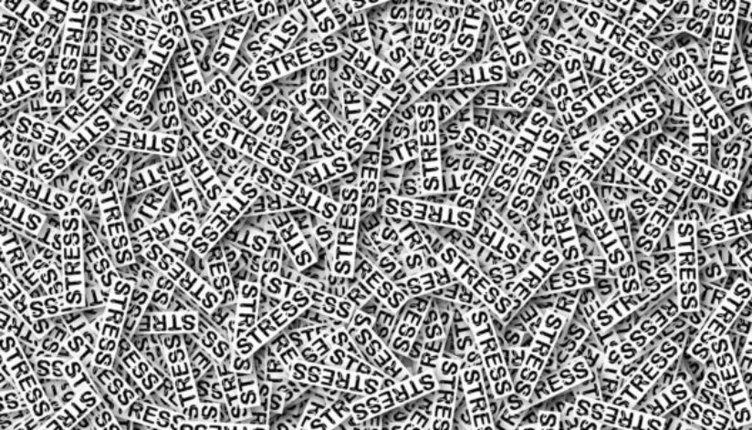 9878BD20-24B5-4B15-A8D0-66ACE419EF08