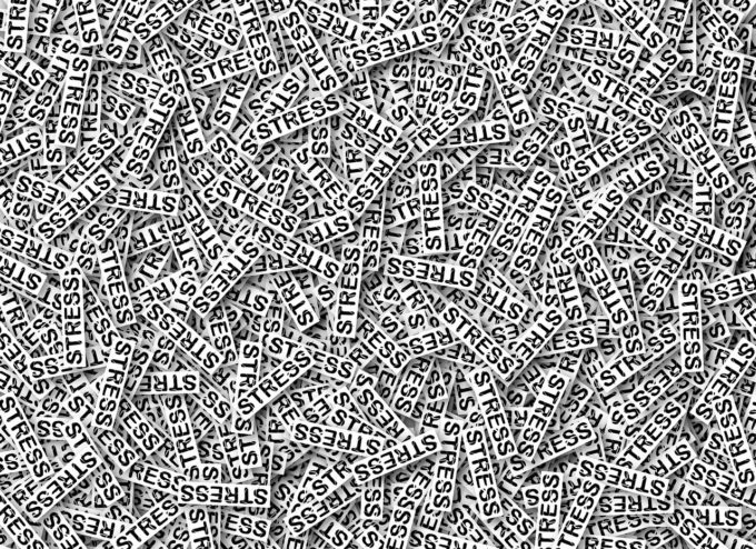 9878BD20-24B5-4B15-A8D0-66ACE419EF08 9878BD20-24B5-4B15-A8D0-66ACE419EF08
