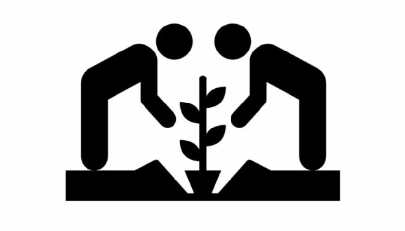 plants