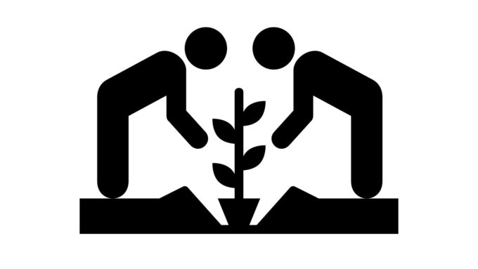 plants