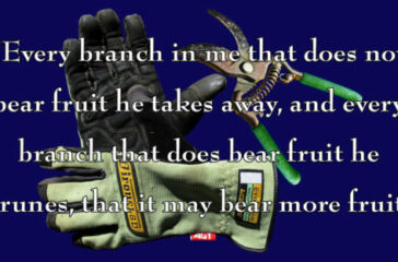 pruning