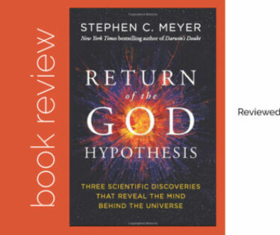 stephen-meyer