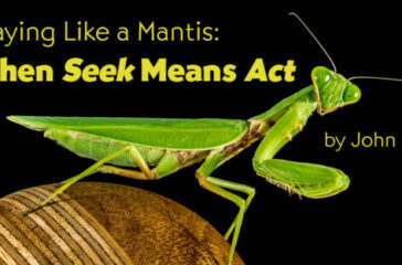 when-seek-means-act