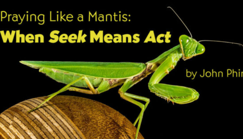 when-seek-means-act
