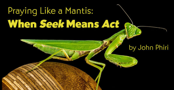 when-seek-means-act when-seek-means-act