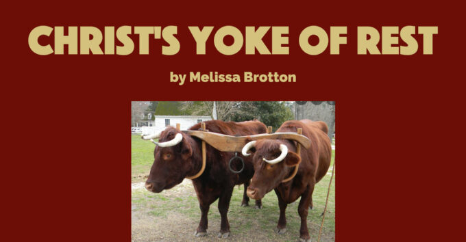 yoke yoke