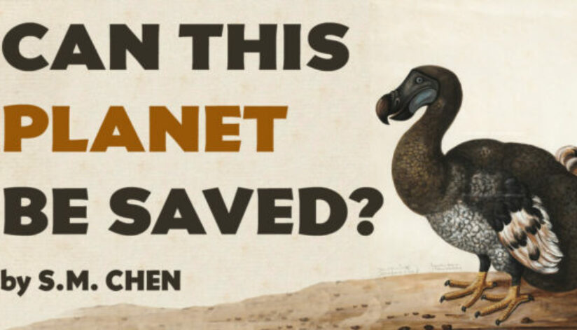 PLANET-BE-SAVED