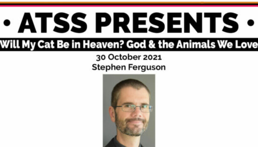 FDOI023XoAwFMSn