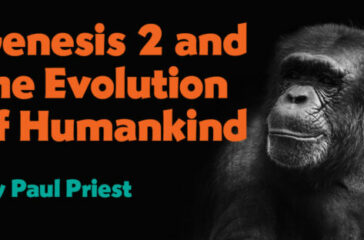 evolution2