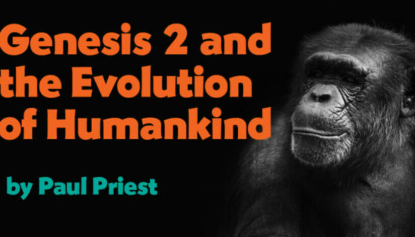 evolution2