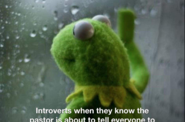 kermitmeme