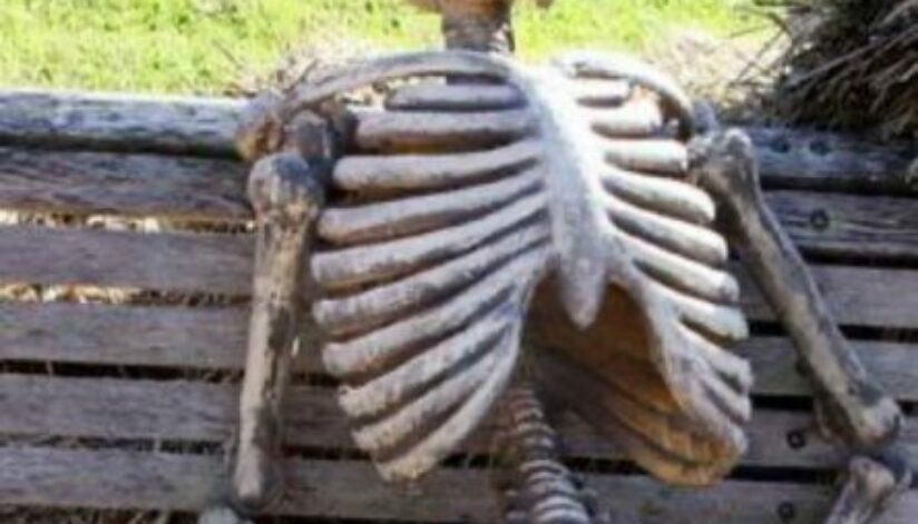 skeletonmeme