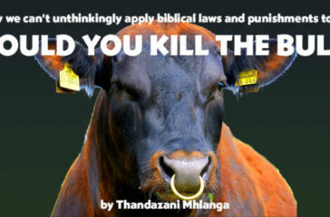 Kill-the-Bull2