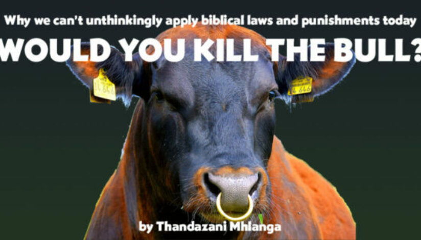 Kill-the-Bull2
