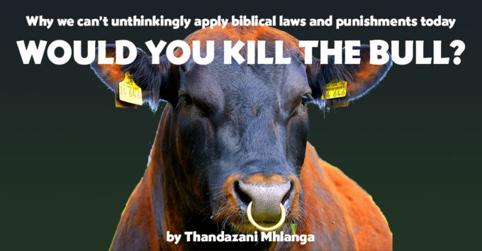 Kill-the-Bull2 Kill-the-Bull2